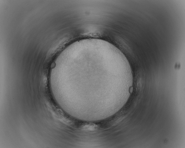 X0000111830595200908131548