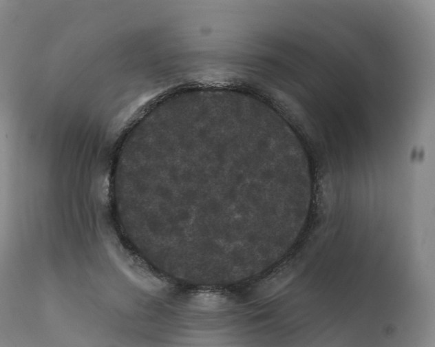 X0000111830596200908131548