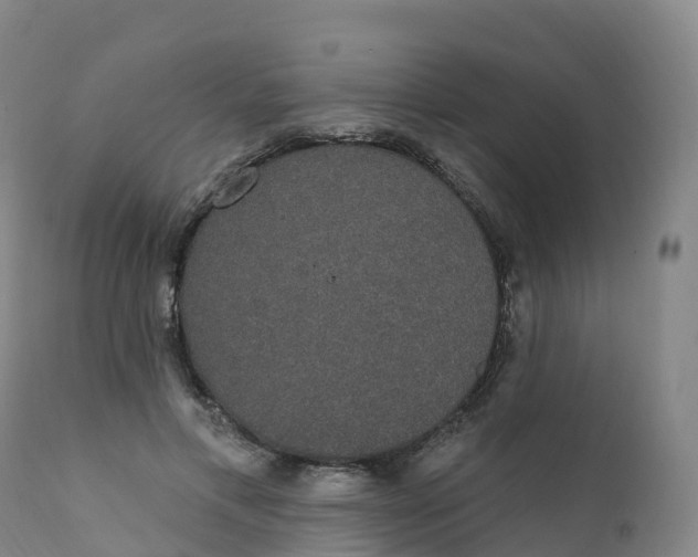 X0000111830597200908131548