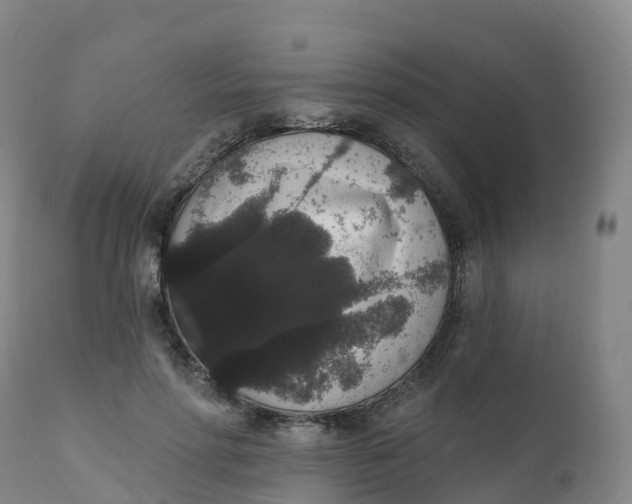 X0000111830598200908131548