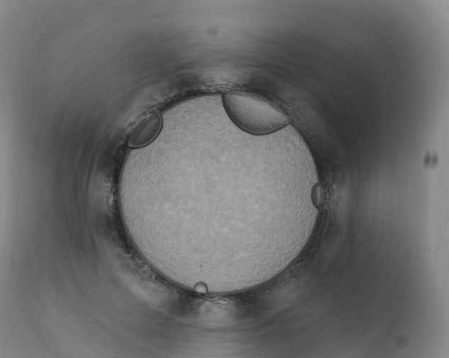 X0000111830599200908131548