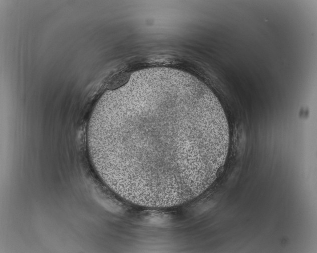 X0000111830601200908131548