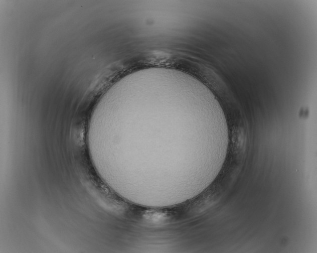 X0000111830602200908131548