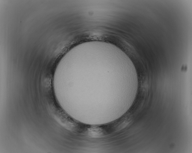 X0000111830603200908131548