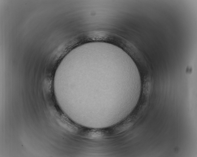 X0000111830604200908131548