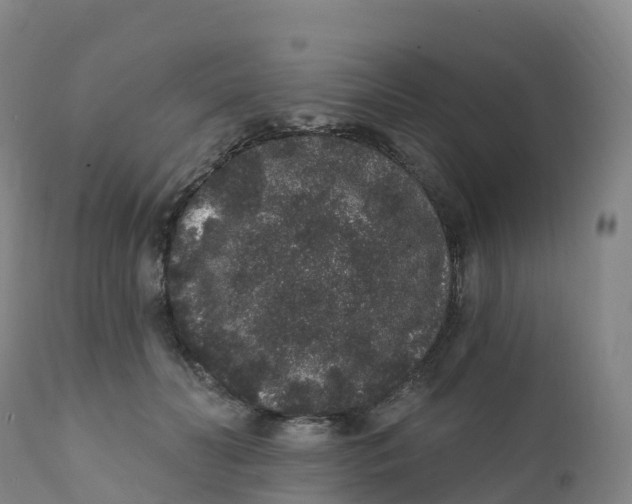 X0000111830606200908131548