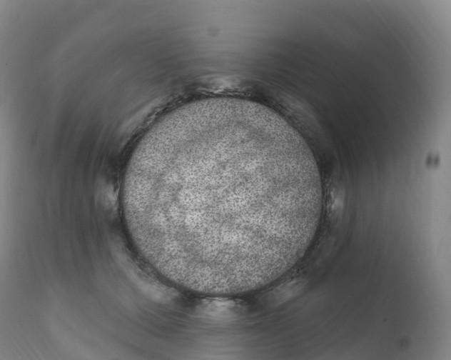 X0000111830607200908131548