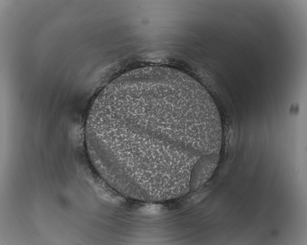 X0000111830609200908131548