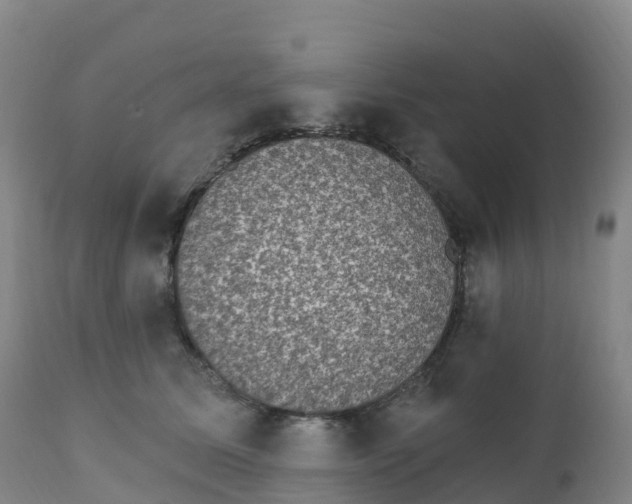 X0000111830611200908131548