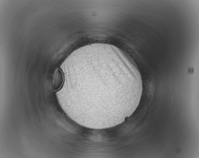 X0000111830612200908131548