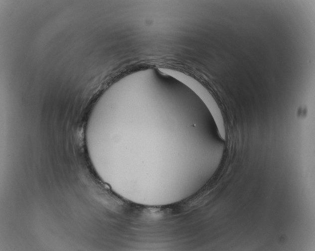 X0000111830613200908131548