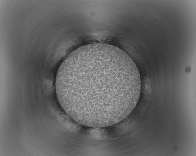 X0000111830615200908131548