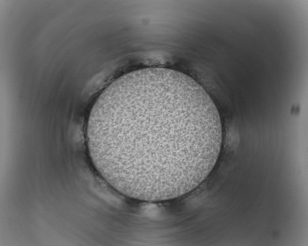 X0000111830616200908131548