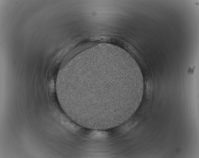 X0000111830617200908131548