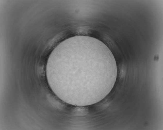 X0000111830619200908131548