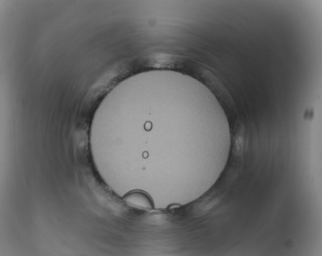 X0000111830620200908131548