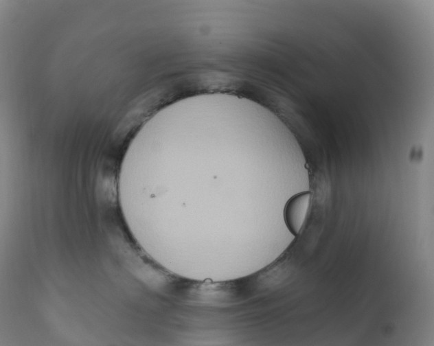 X0000111830622200908131548