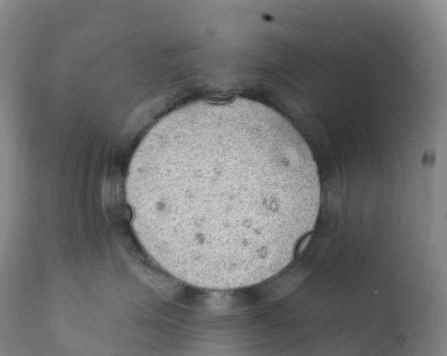 X0000111830623200908131548