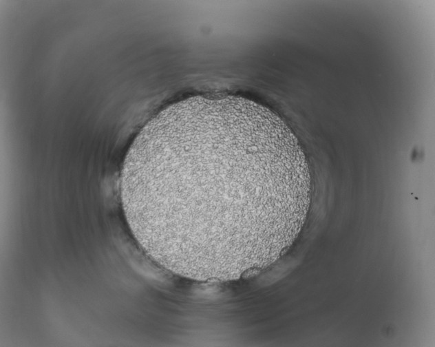 X0000111830624200908131548