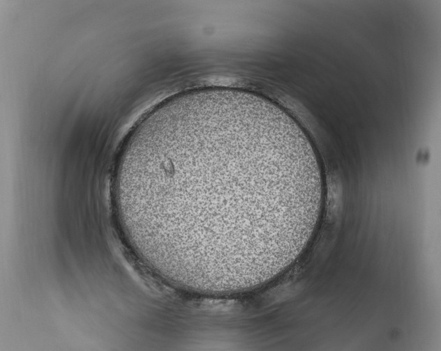 X0000111830626200908131547