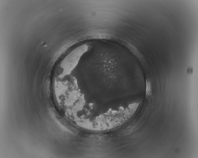 X0000111830627200908131547