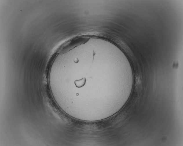 X0000111830628200908131547