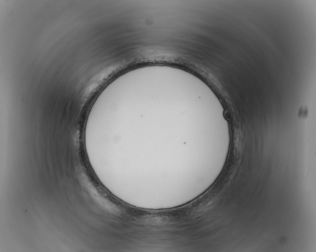 X0000111830629200908131547