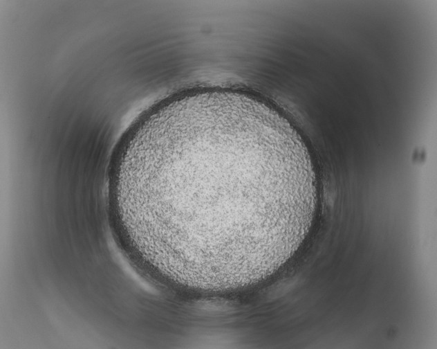 X0000111830630200908131547