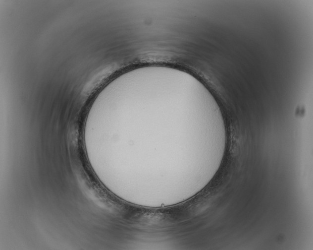 X0000111830631200908131547