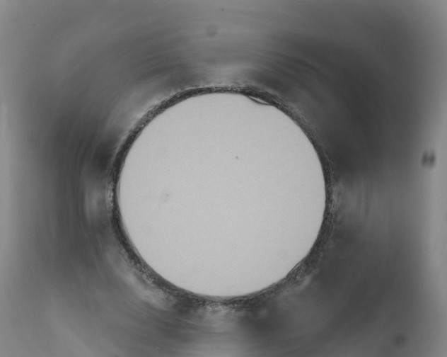 X0000111830632200908131547