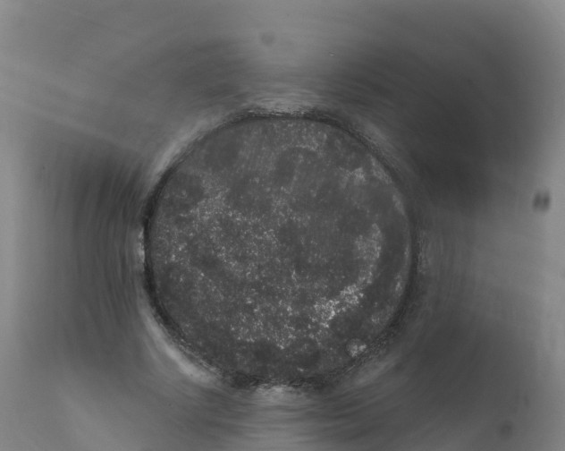 X0000111830634200908131547