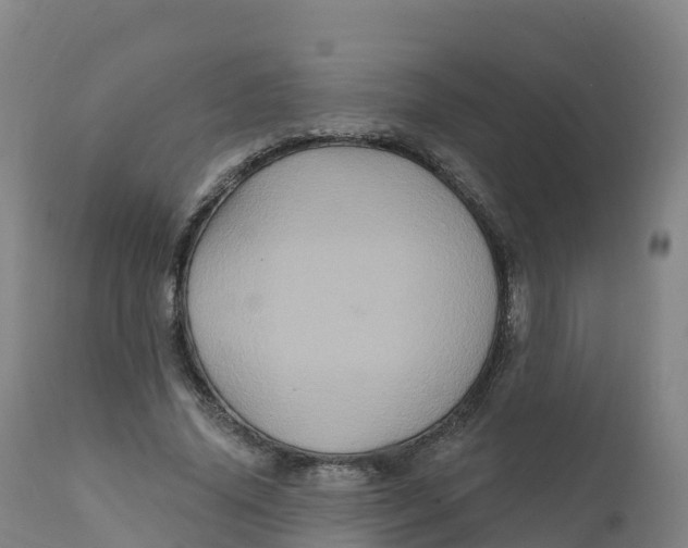 X0000111830636200908131547