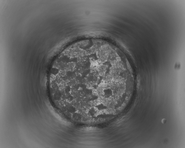 X0000111830637200908131547