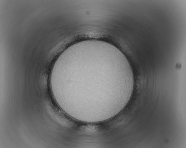 X0000111830639200908131547