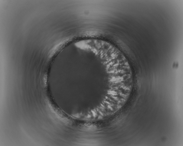 X0000111830640200908131547