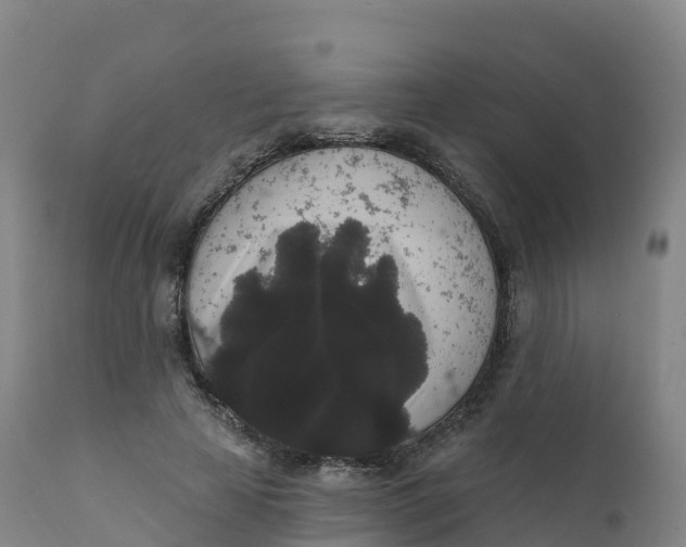 X0000111830641200908131547