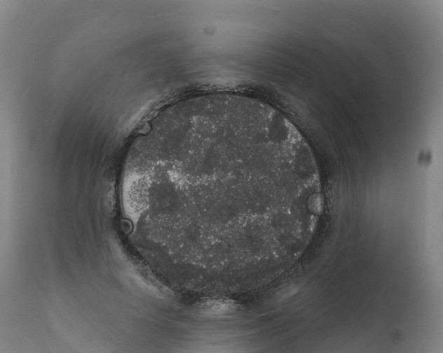 X0000111830642200908131547