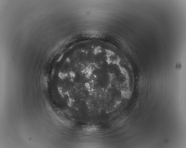 X0000111830643200908131547