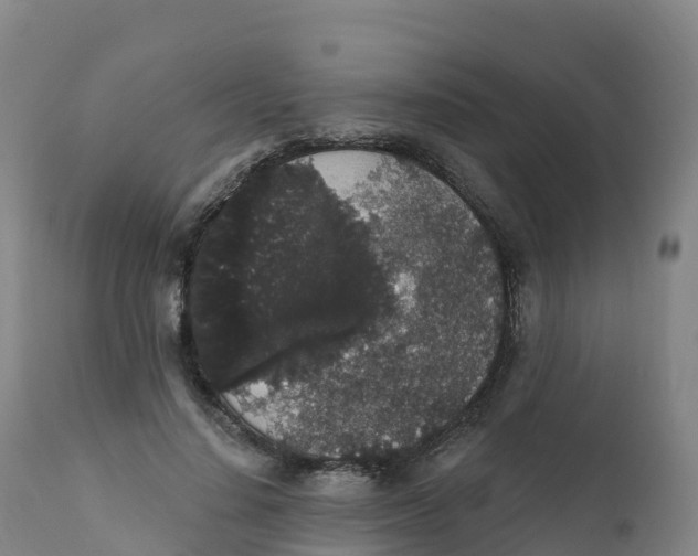 X0000111830644200908131547