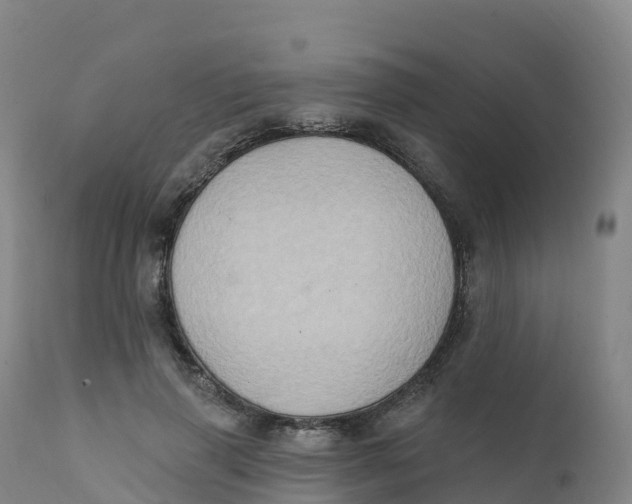 X0000111830645200908131547