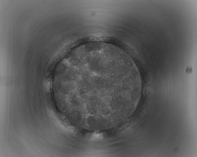 X0000111830647200908131547