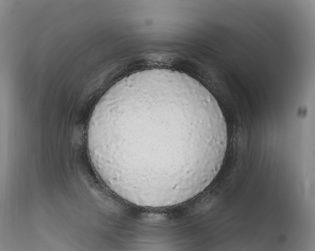 X0000111830649200908131547