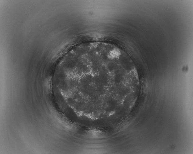 X0000111830650200908131547