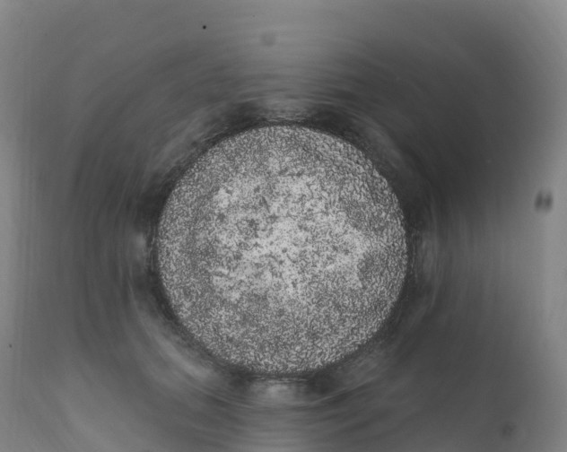 X0000111830655200908131547