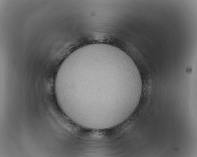 X0000111830656200908131548