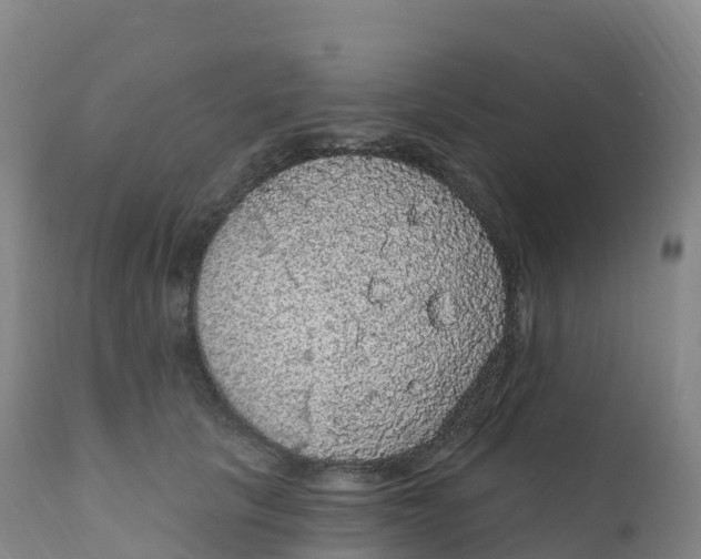 X0000111830657200908131548