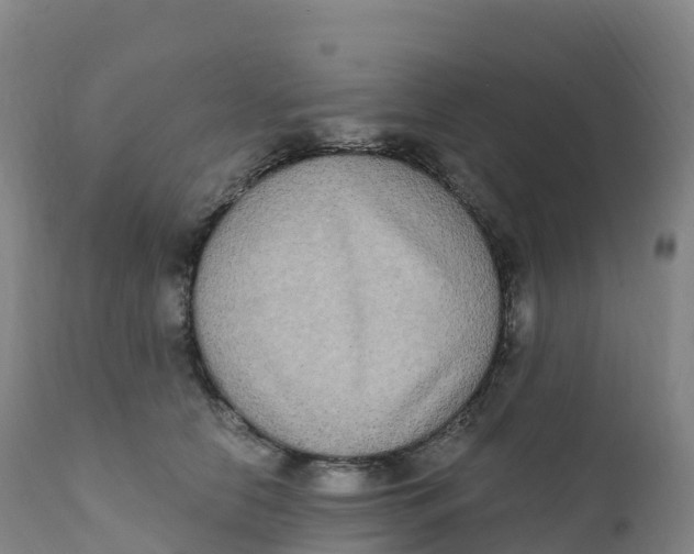 X0000111830658200908131548