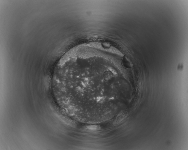 X0000111830659200908131548