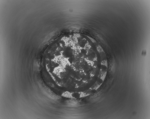 X0000111830661200908131548