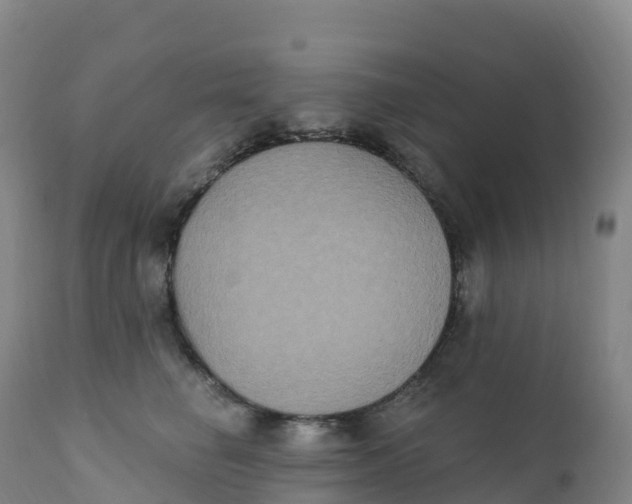 X0000111830662200908131548